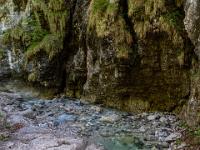 Felsiger Bachlauf vor bewachsener Steilwand